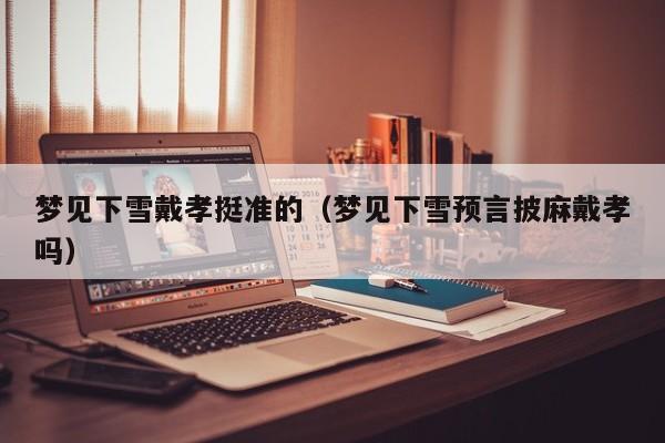 梦见下雪戴孝挺准的(梦见下雪预言披麻戴孝吗)