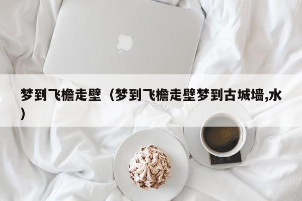 梦到飞檐走壁(梦到飞檐走壁梦到古城墙,水)