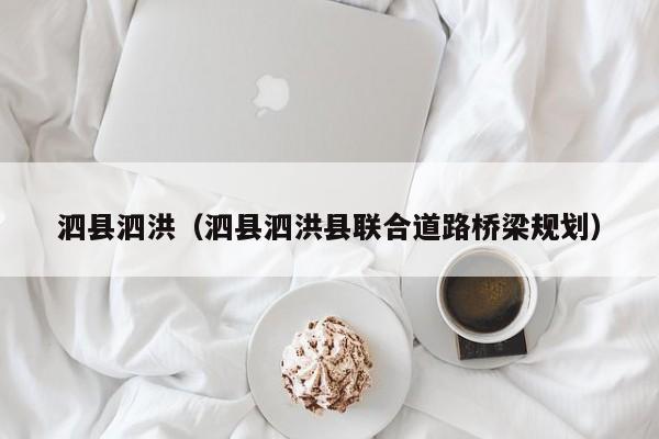 泗县泗洪(泗县泗洪县联合道路桥梁规划)