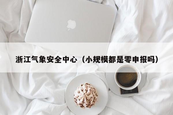 浙江气象安全中心(小规模都是零申报吗)