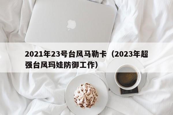 2021年23号台风马勒卡(2023年超强台风玛娃防御工作)