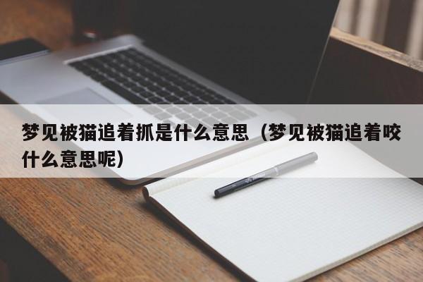 梦见被猫追着抓是什么意思(梦见被猫追着咬什么意思呢)