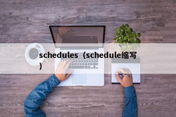 schedules(schedule缩写)