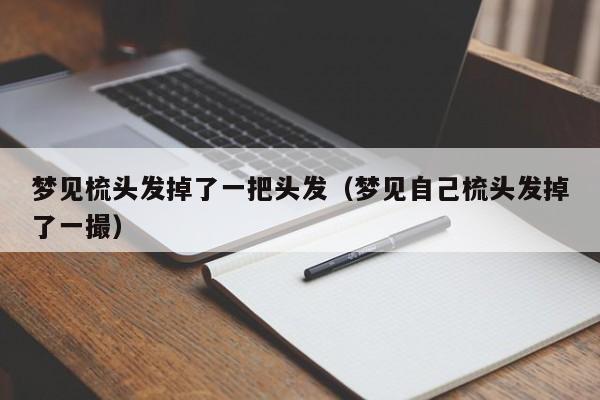 梦见梳头发掉了一把头发(梦见自己梳头发掉了一撮)