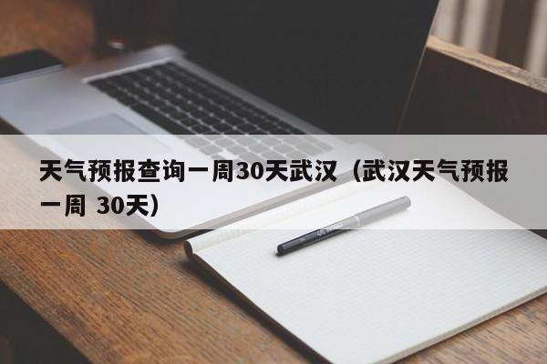 天气预报查询一周30天武汉(武汉天气预报一周 30天)