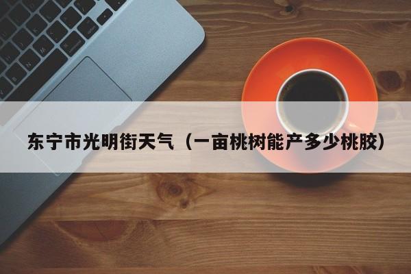 东宁市光明街天气(一亩桃树能产多少桃胶)