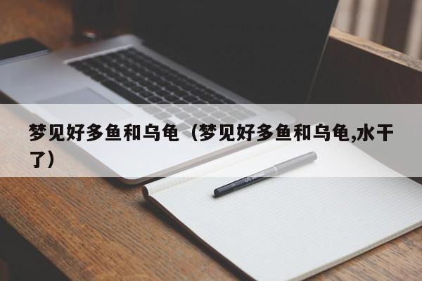 梦见好多鱼和乌龟(梦见好多鱼和乌龟,水干了)