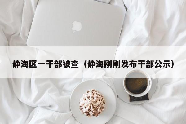 静海区一干部被查(静海刚刚发布干部公示)