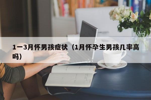 1一3月怀男孩症状(1月怀孕生男孩几率高吗)