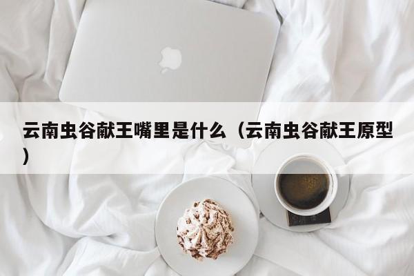 云南虫谷献王嘴里是什么(云南虫谷献王原型)