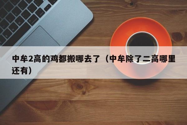 中牟2高的鸡都搬哪去了(中牟除了二高哪里还有)
