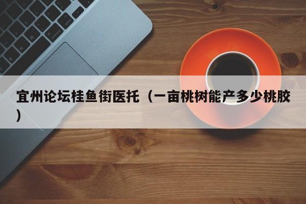 宜州论坛桂鱼街医托(一亩桃树能产多少桃胶)