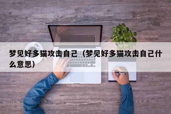 梦见好多猫攻击自己(梦见好多猫攻击自己什么意思)