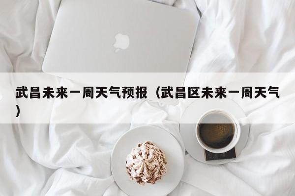 武昌未来一周天气预报(武昌区未来一周天气)
