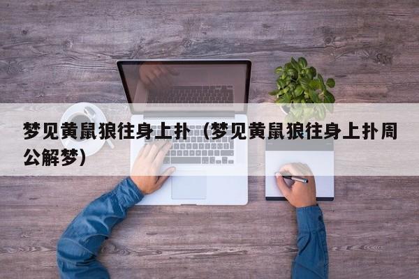 梦见黄鼠狼往身上扑(梦见黄鼠狼往身上扑周公解梦)
